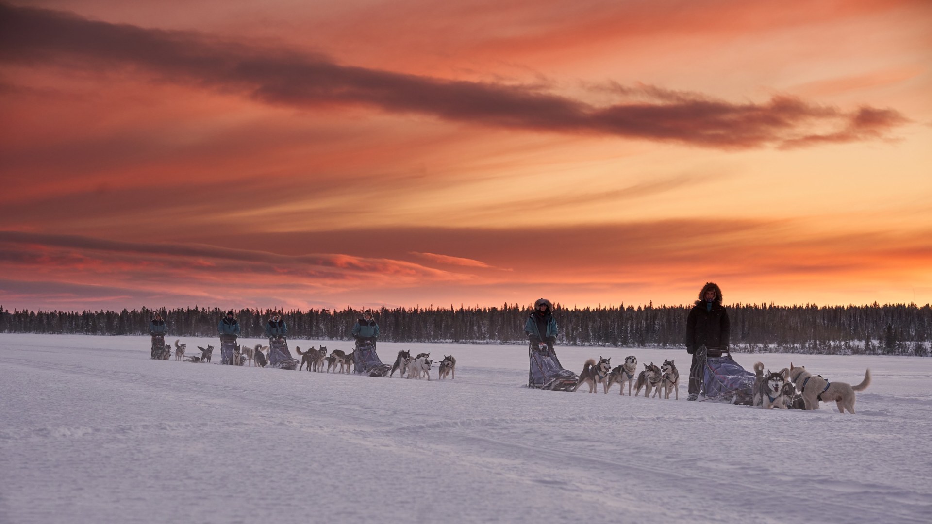 Huskyspuren im Reisa-Tal
